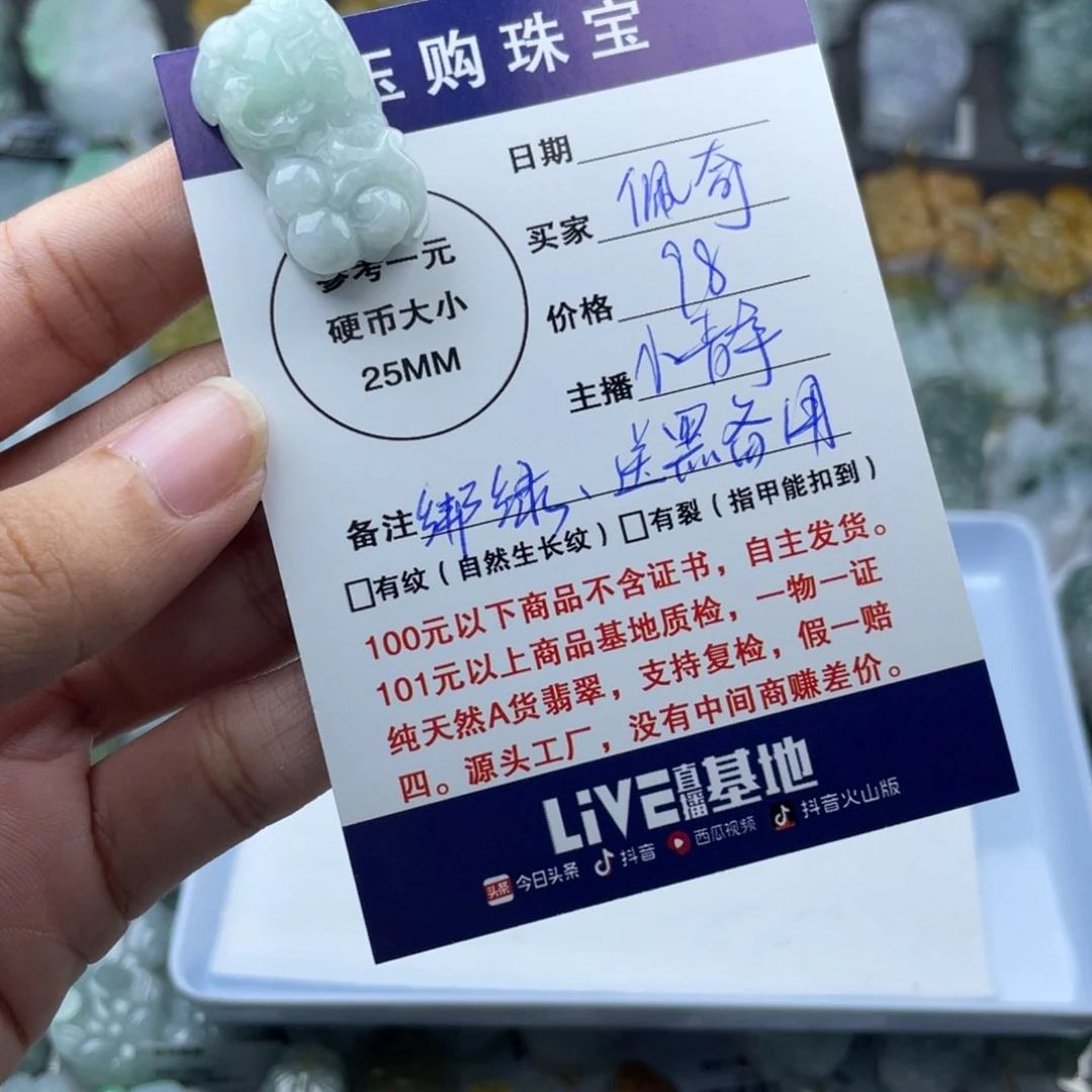 翡翠未镶嵌颈饰小***奇貔貅