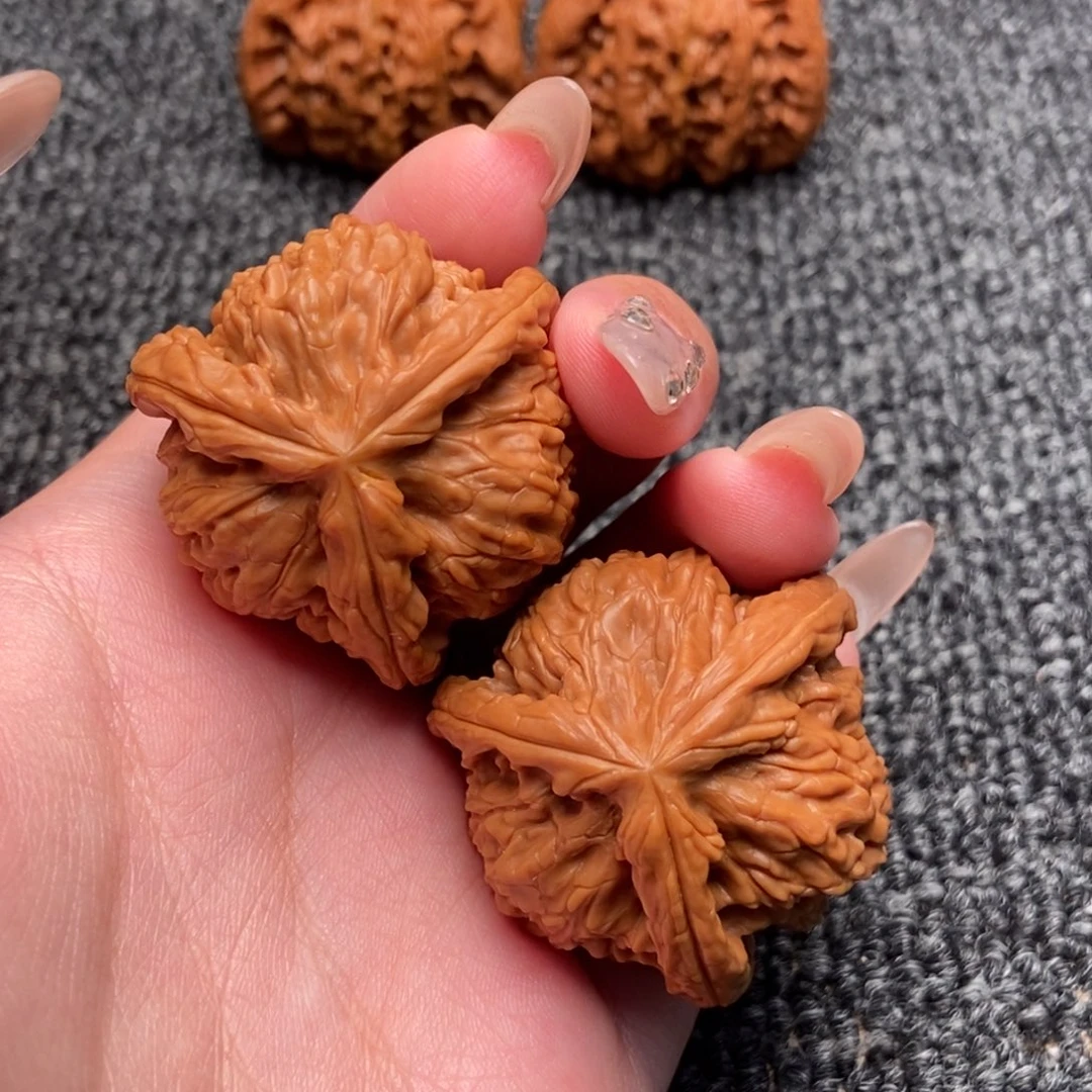 木质类白狮子正奔