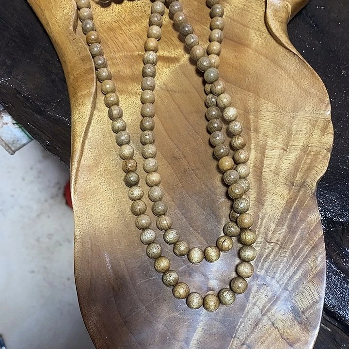 楠木金丝楠木小叶