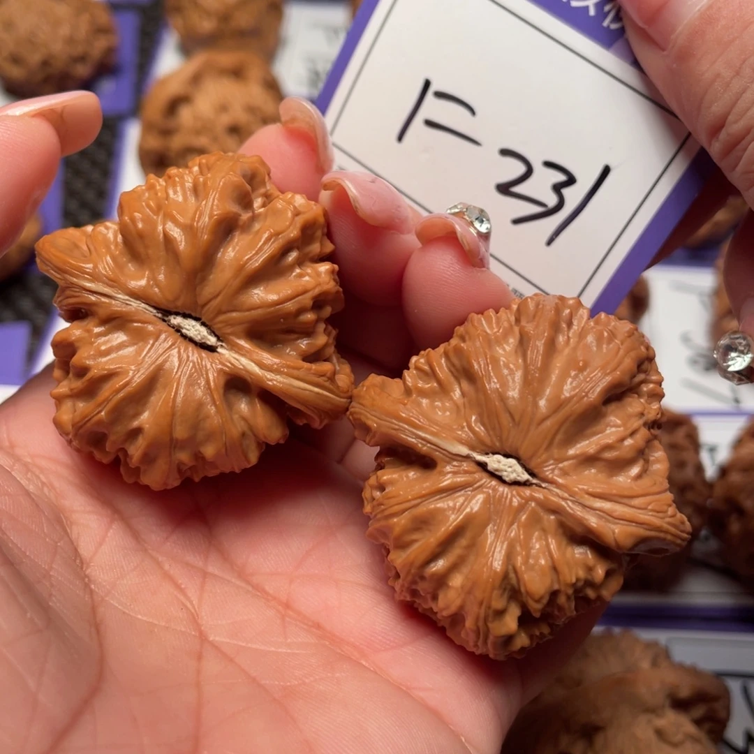 文玩核桃把件231号白狮子42