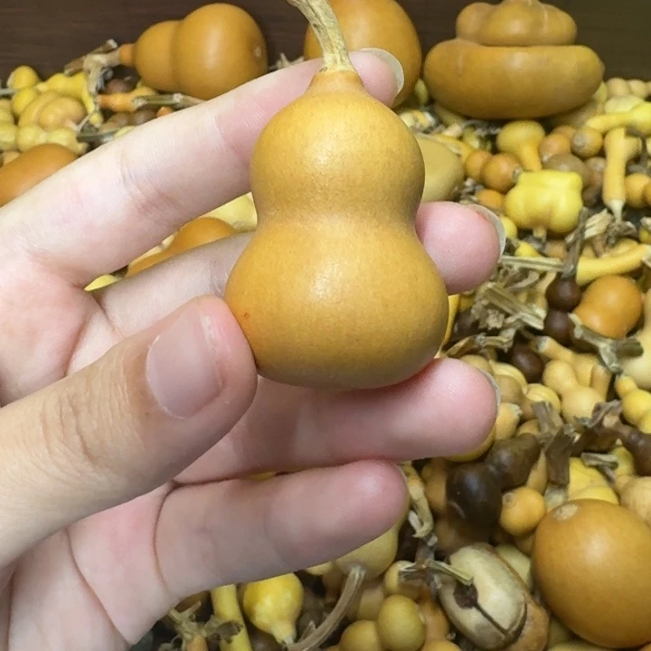 葫芦葫芦葫芦不包邮