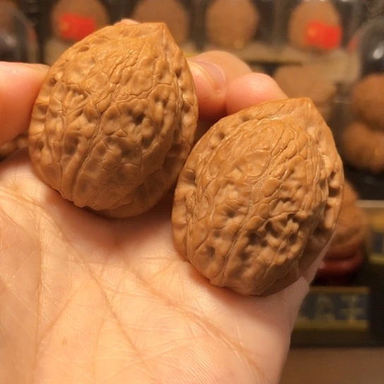 精品：野生玉龙舍利