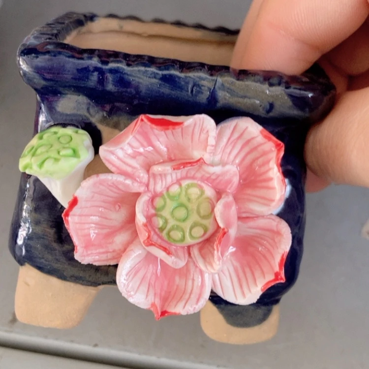 【闪购商品】红陶福利