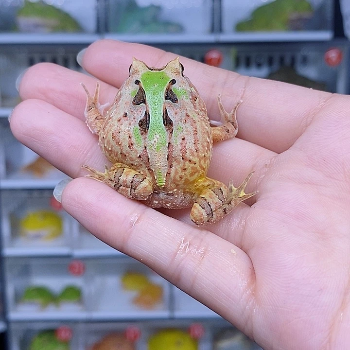 特价秒杀现货特价