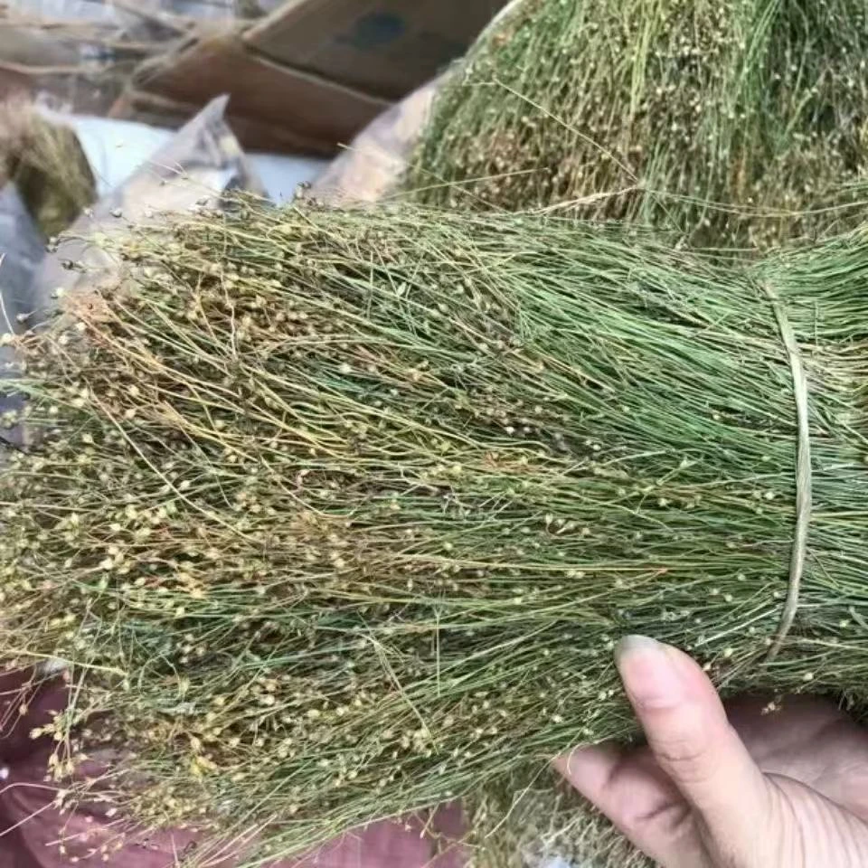 四叶莲干货土特产