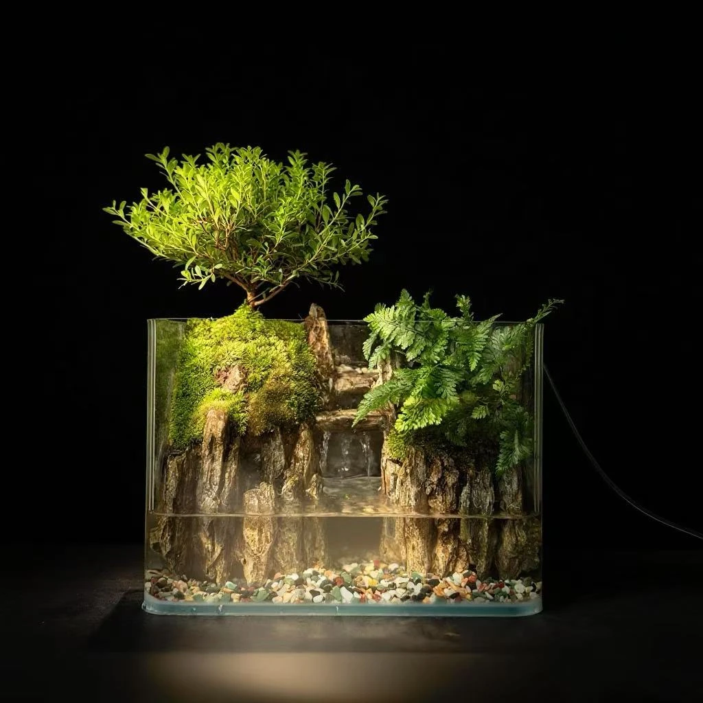 【山涧】新疆包邮-尺寸25cmx16cmx18cm方缸小叶赤楠青龙石中式造景