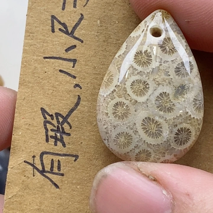 颈饰未镶嵌硅化珊瑚（珊瑚玉）