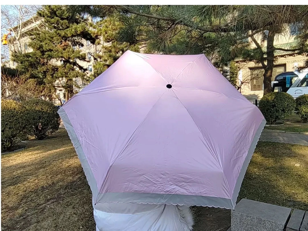 7375  ZY  蕾丝花边伞