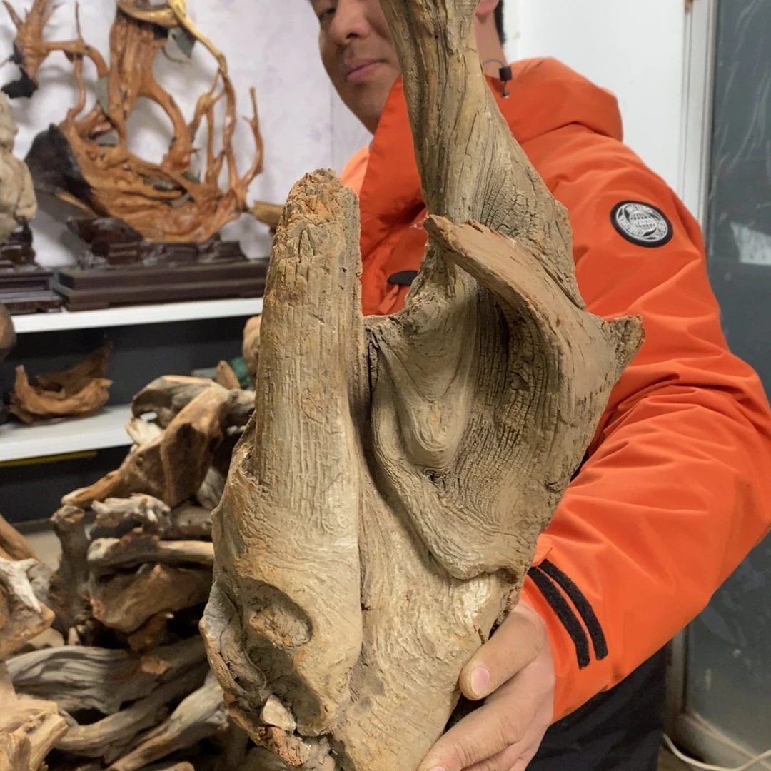 柏木水**家我们都是好孩子