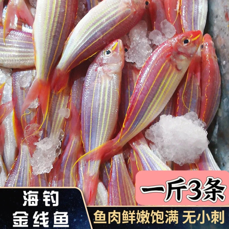 博贺渔港金线鱼到手5斤（3条1斤）鲜活冷冻金丝鱼［顺丰冷链］