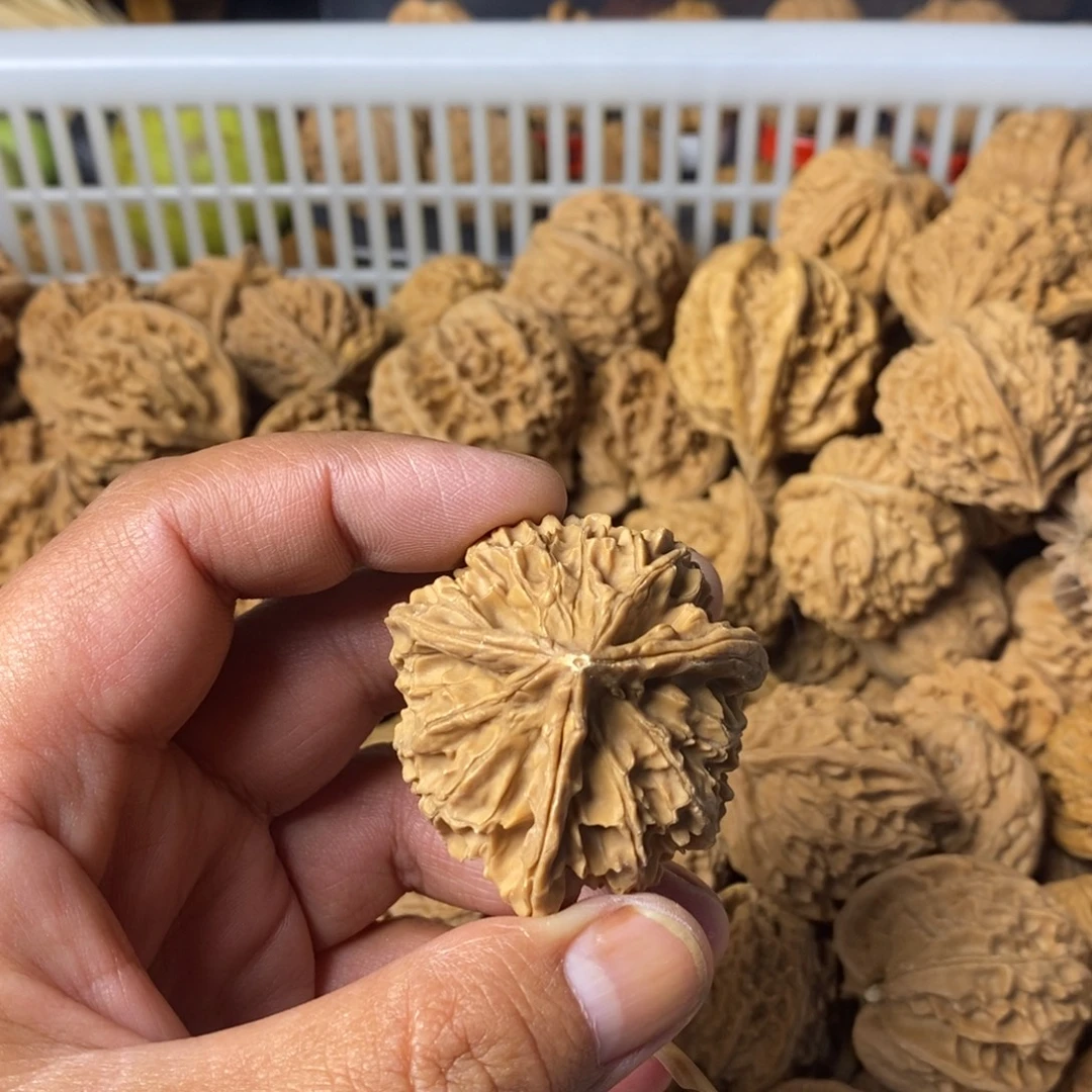 顾***.大叶紫檀（黑酸枝木类）