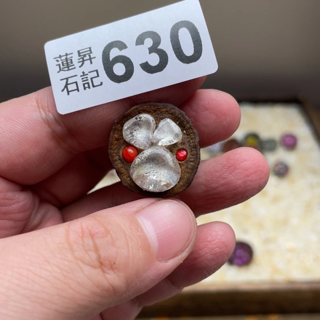 核桃木/黑胡桃（胡桃木）安****子630