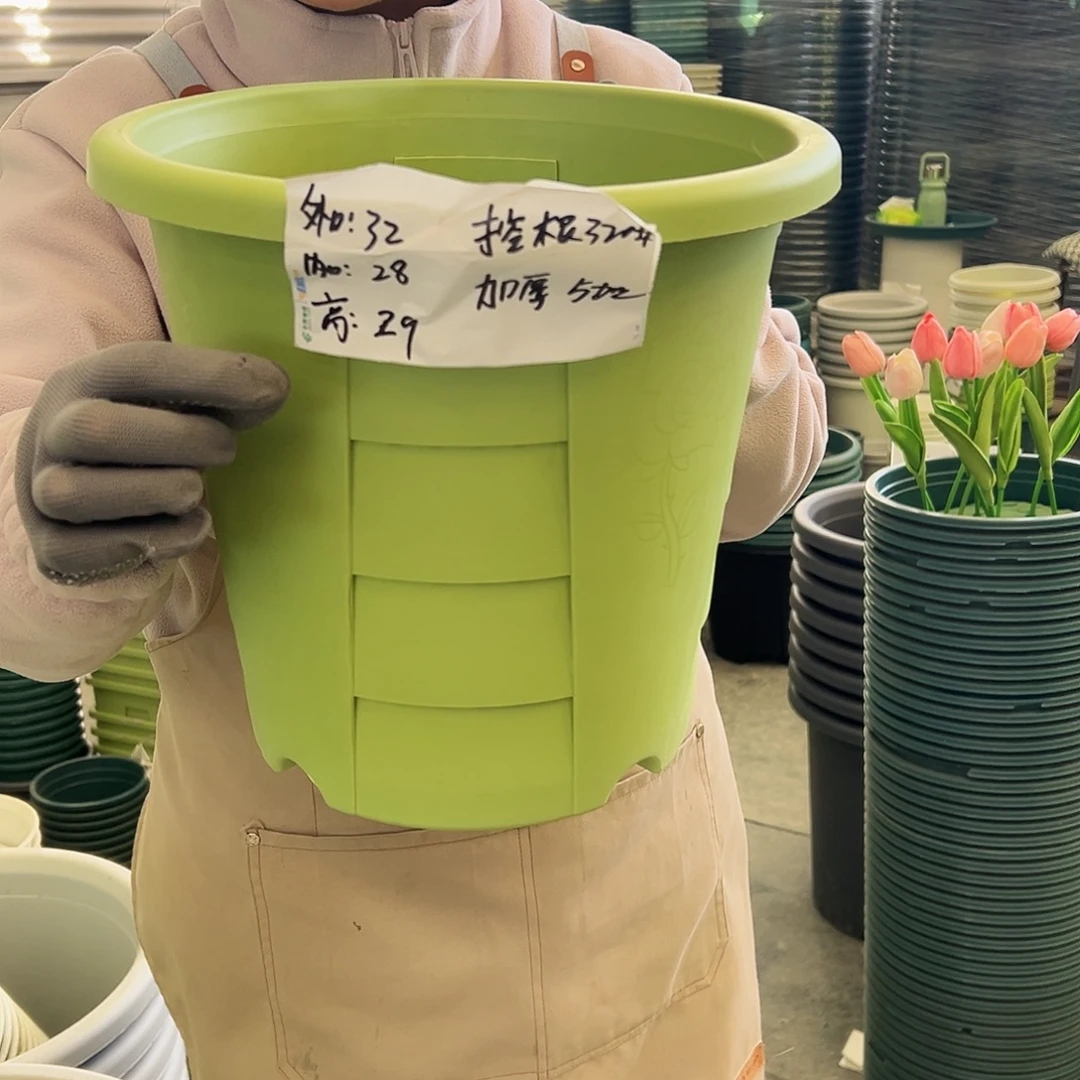 玫瑰320#果绿色5个无托