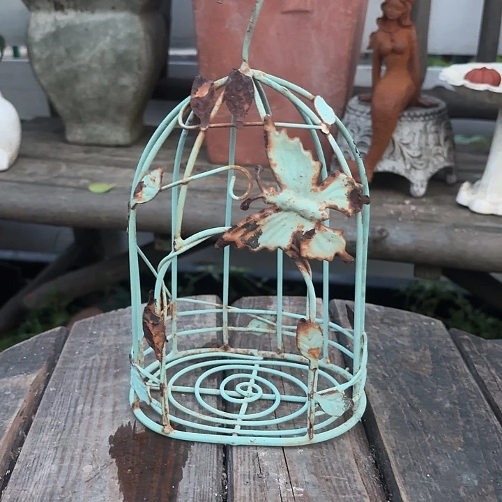 许纯的花房 礼物鸟笼