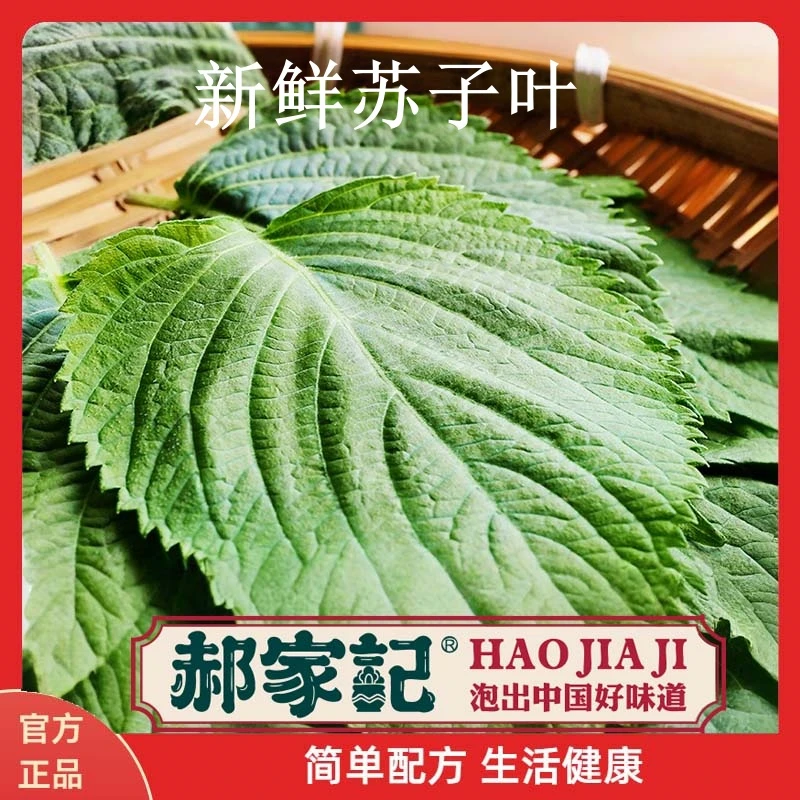 HAOJIAJI/郝家记新鲜苏子叶食用绿色大叶子韩国烤肉日料蔬菜食材