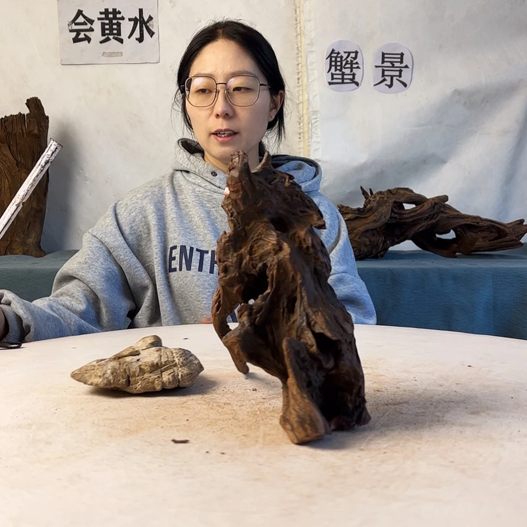 沉木造景爬宠造景