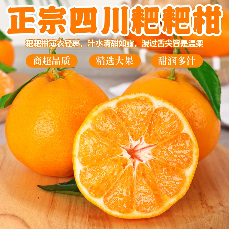 四川春见耙耙柑新鲜水果香甜多汁应季水果耙耙柑橘整箱包邮多规格