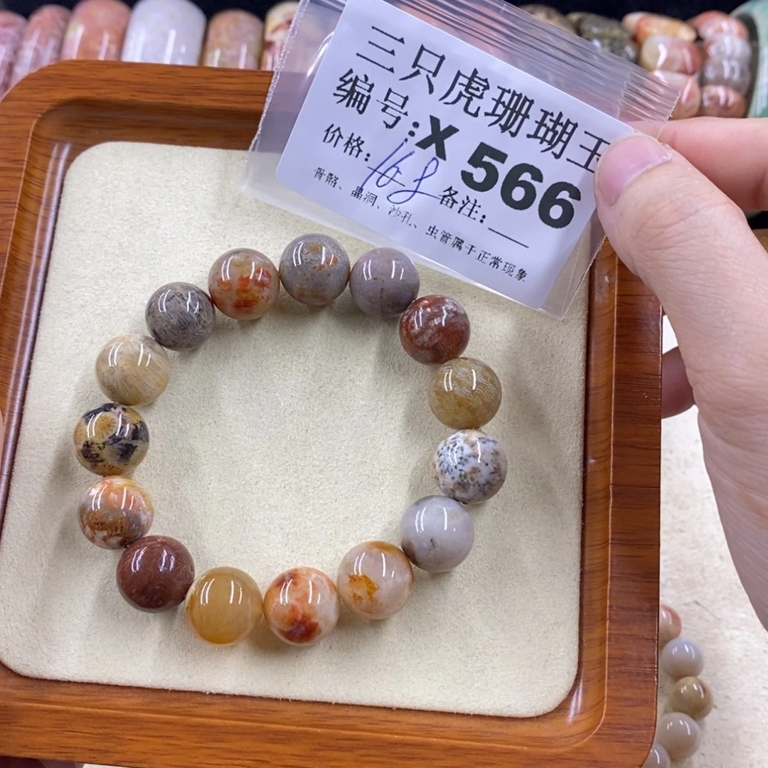 硅化珊瑚（珊瑚玉）1未镶嵌米*