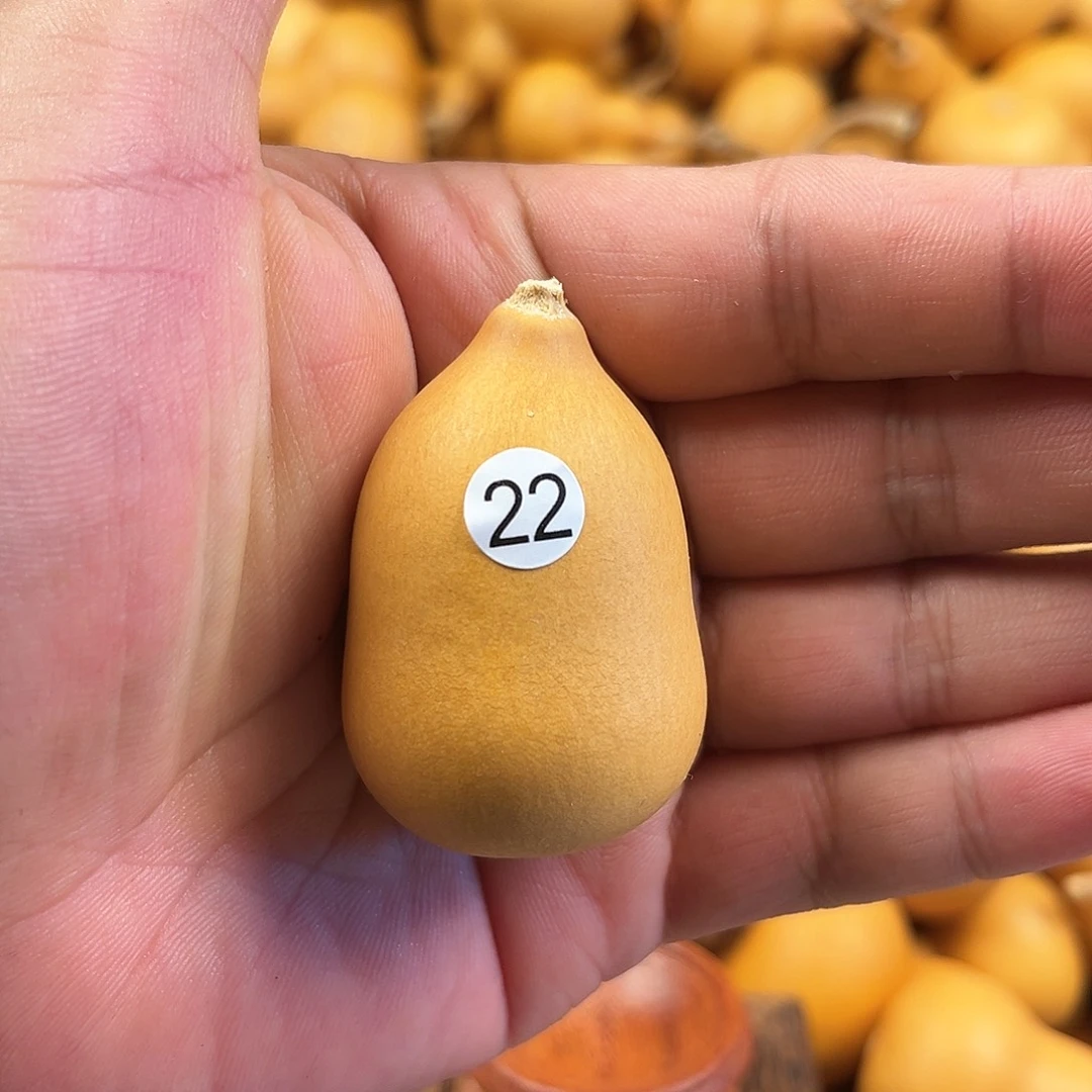 一葫芦葫芦葫芦22