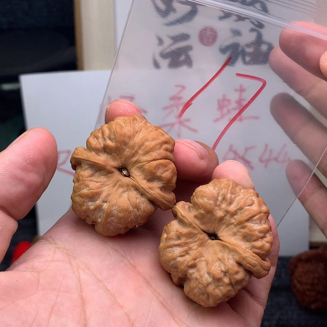 核桃手串/手链88888888888