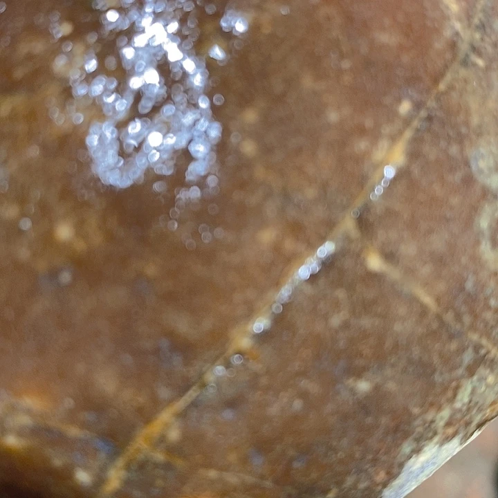 定制玛瑙魏*凤好咯哦呜呜呜