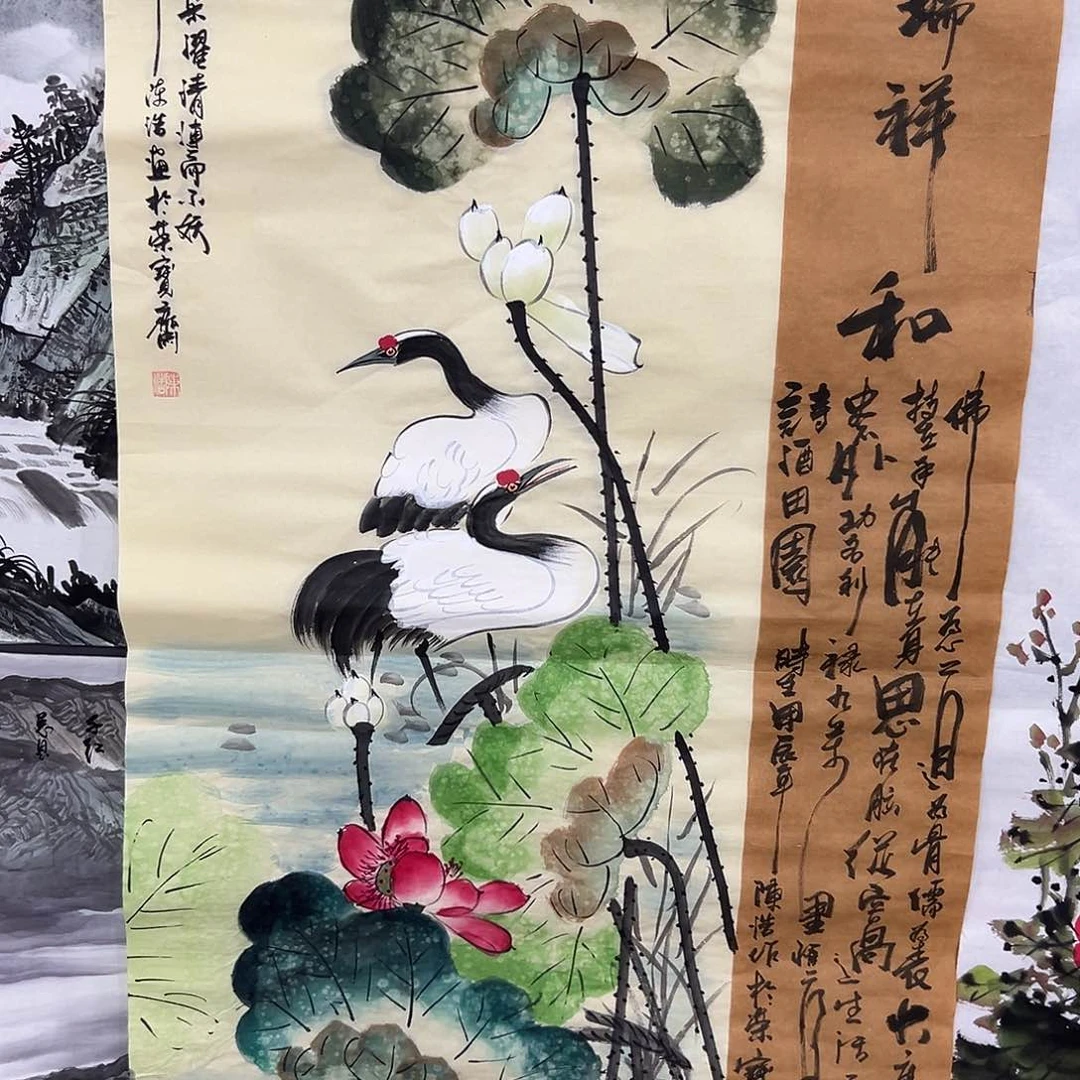 新号开播领福利了