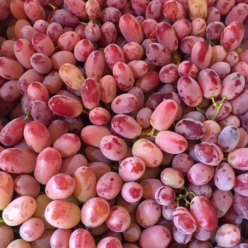 澳洲红提无籽提3斤装