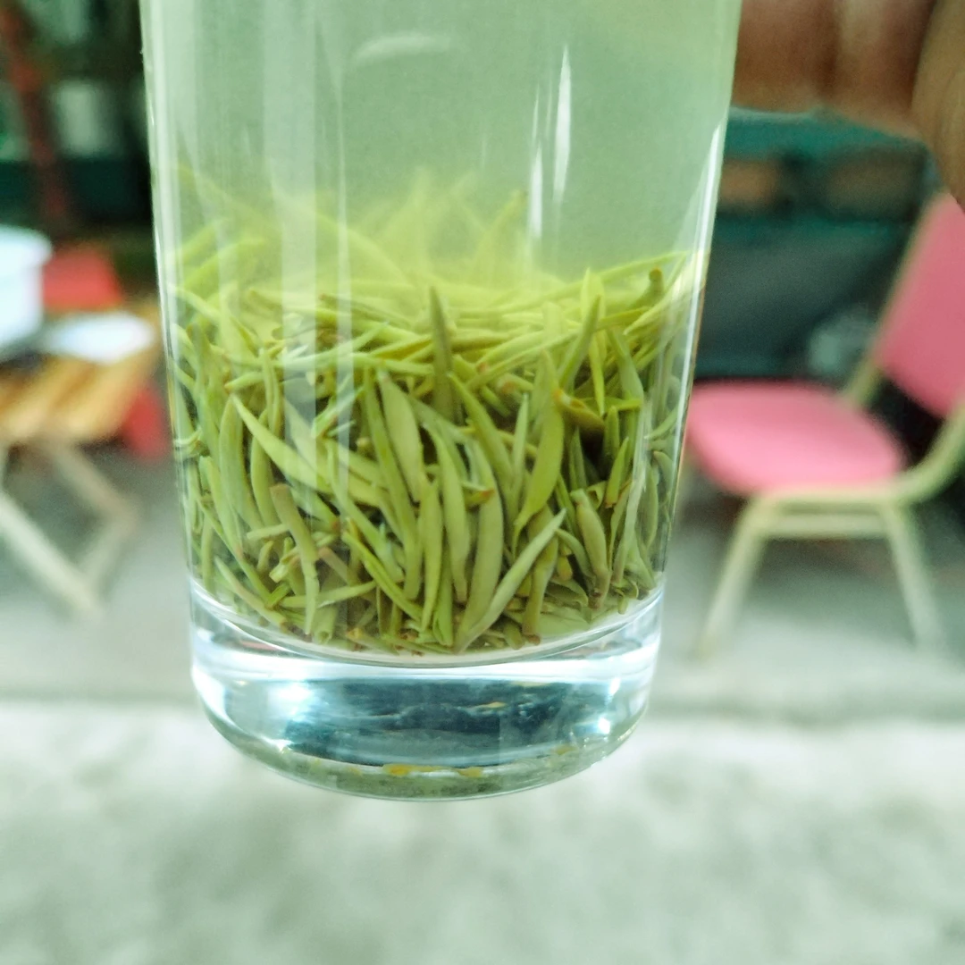 信阳毛尖雨前小芽清香浓郁回甘持久奈泡！