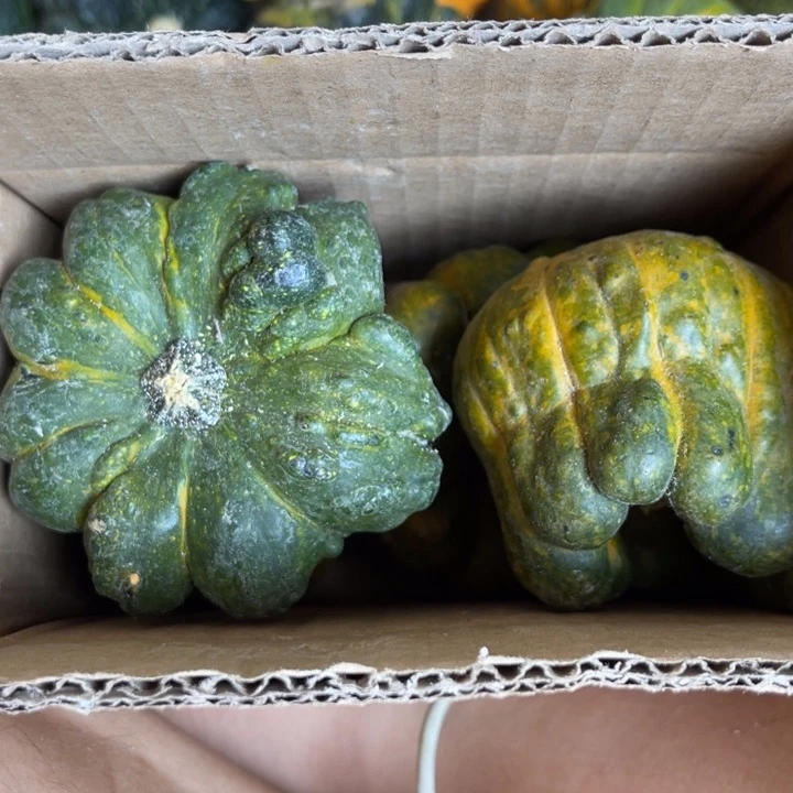 二****³二小青皮葫芦