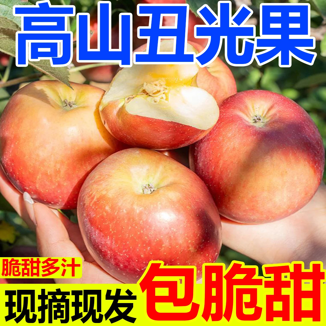 正宗陕西高山脆甜红富士丑苹果新鲜水果苹果不打蜡带皮吃整箱包邮