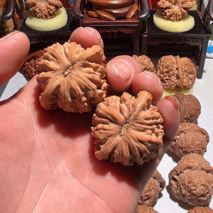 ****风大叶紫檀（黑酸枝木类）精品文玩全品白狮子