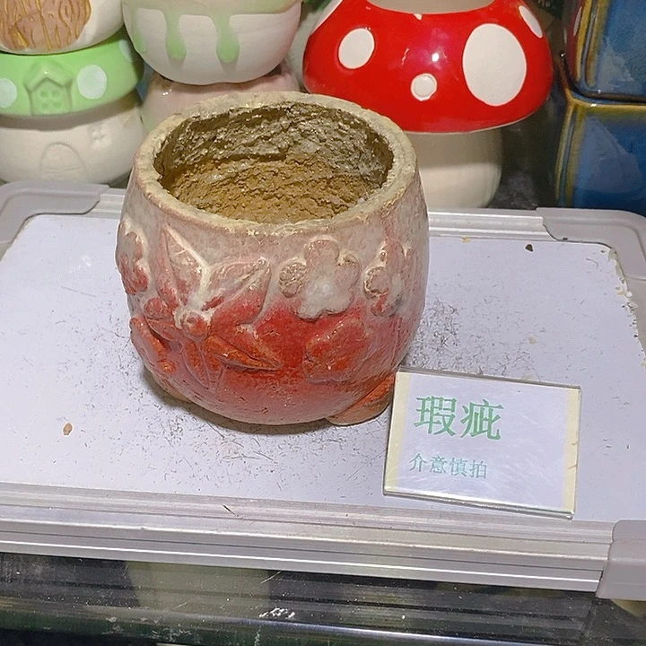 摆件多肉瑕疵盆有孔。