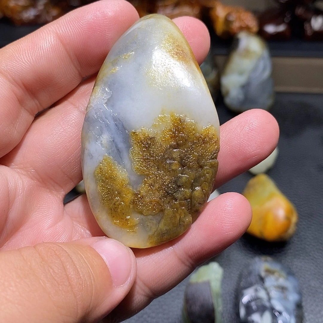 朱***进和田玉未镶嵌颈饰