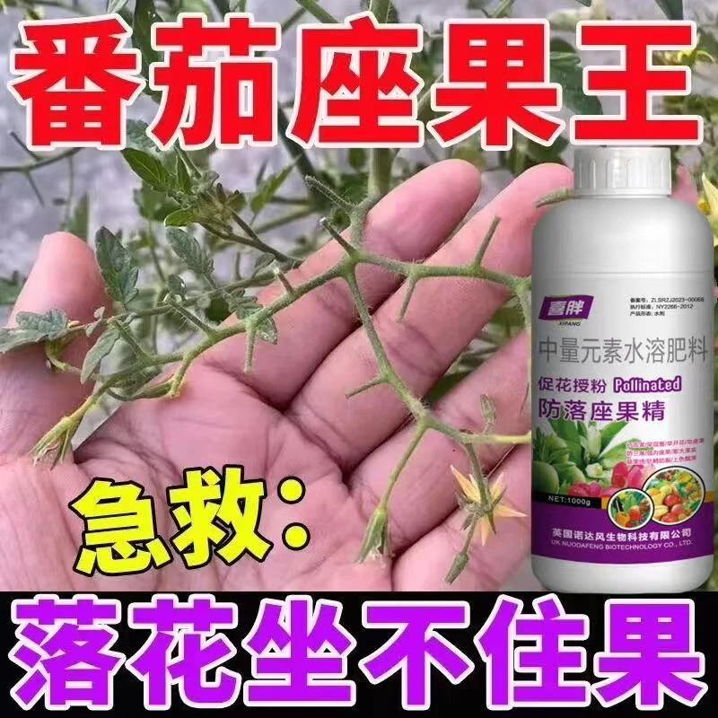 西红柿专用授粉药番茄叶面肥授粉座果精授粉花果素防落素沾花素