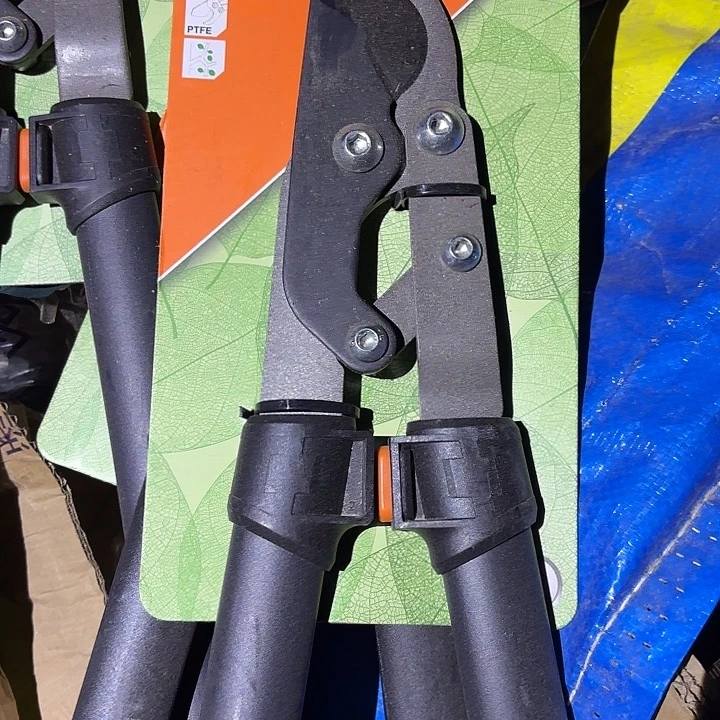 外贸品牌如图发货