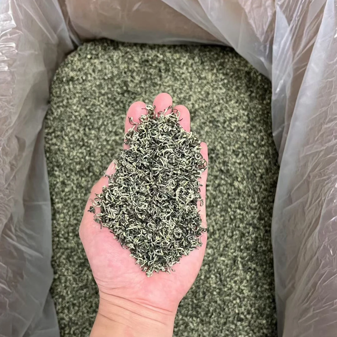 2025秋茶芽毛尖手工卷毛峰柔栗香耐泡