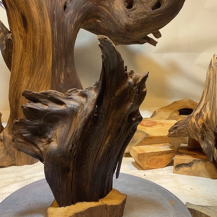 一***爱木直播间一物一拍