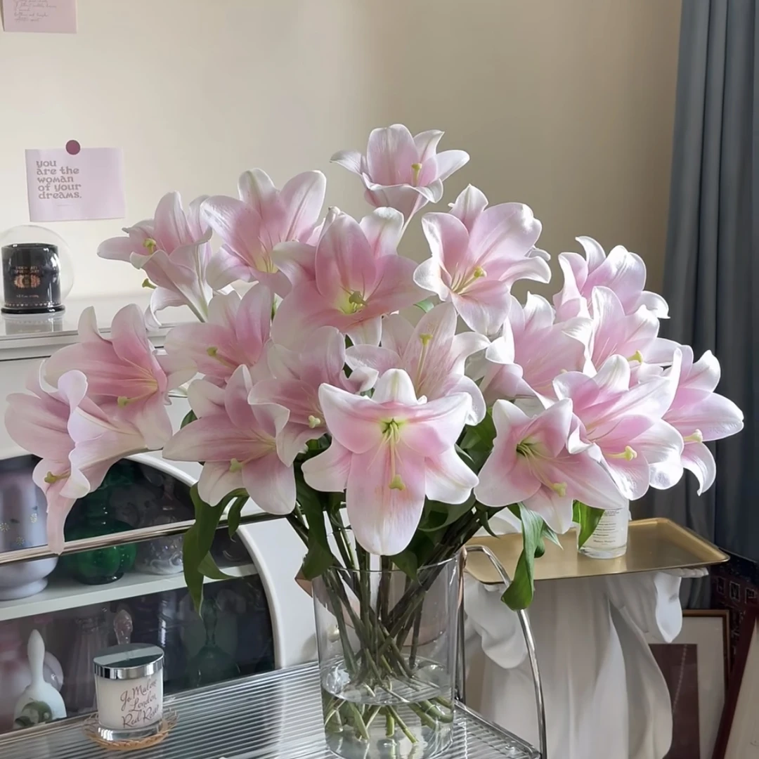 百合鲜花粉色铁炮（淡香型） 清新感 东北基地新鲜采摘