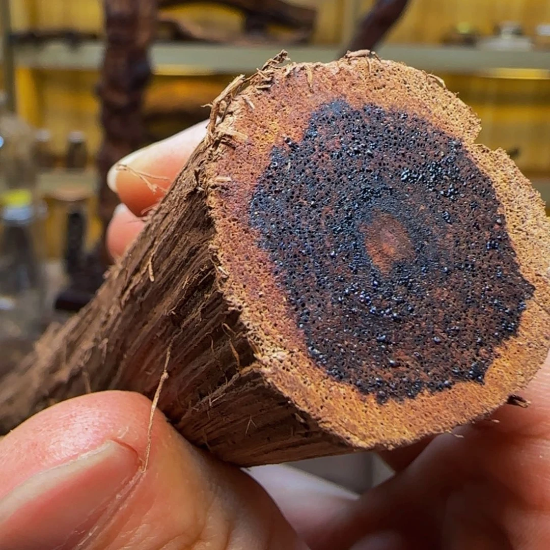 降真香其他用****4缅甸小叶