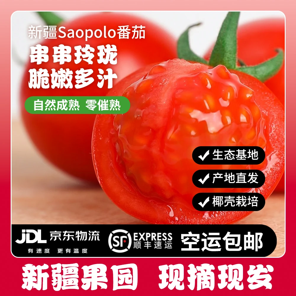 霍尔果新疆富硒串收樱桃番茄小西红柿圣女果即食水果空运车厘茄