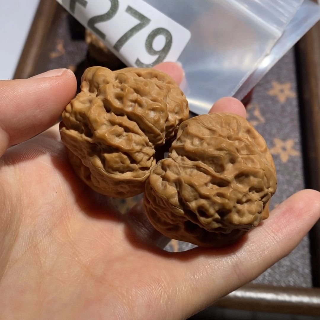 核桃矮庄肌肉蛙40,41