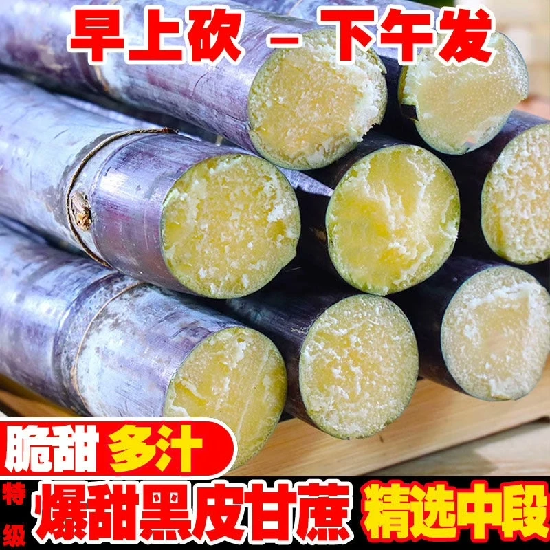 【农村达智专属】广西黑皮甘蔗新鲜水果紫皮甘蔗脆甜多汁现砍现发