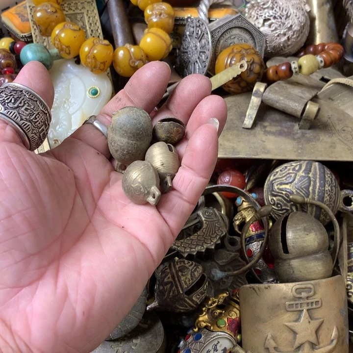 格***杨一物一拍所见即所得