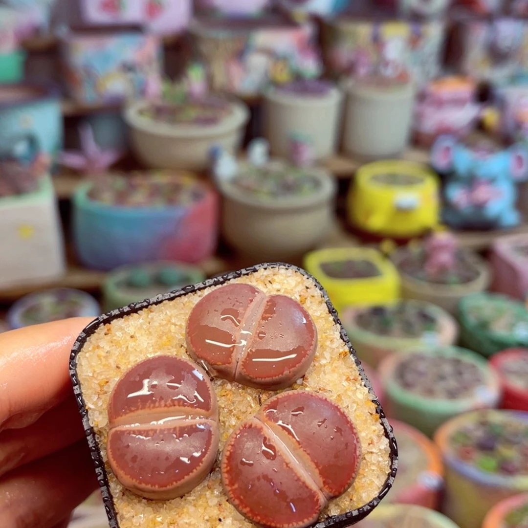 134。88888888888888888888