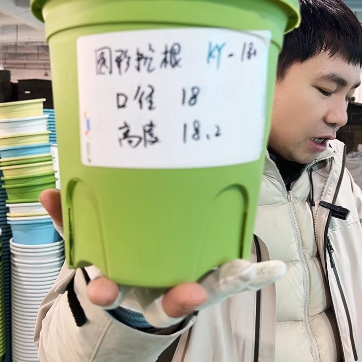 正品圆控口18高18果绿色8个无托