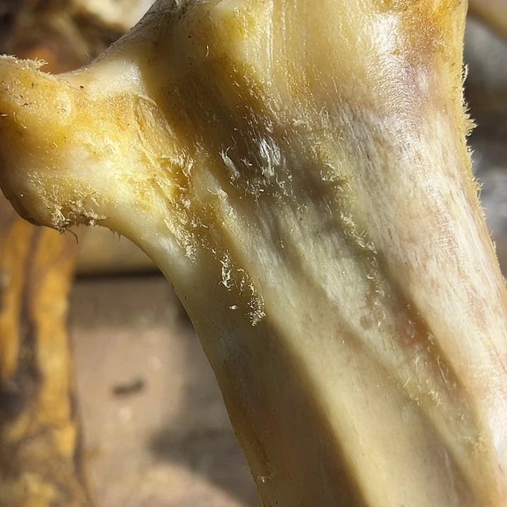 重***）yyhu整根前腿前腿前腿整根