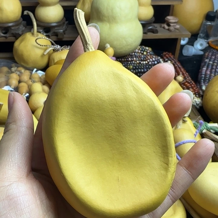 葫芦冬瓜厚皮凹抽