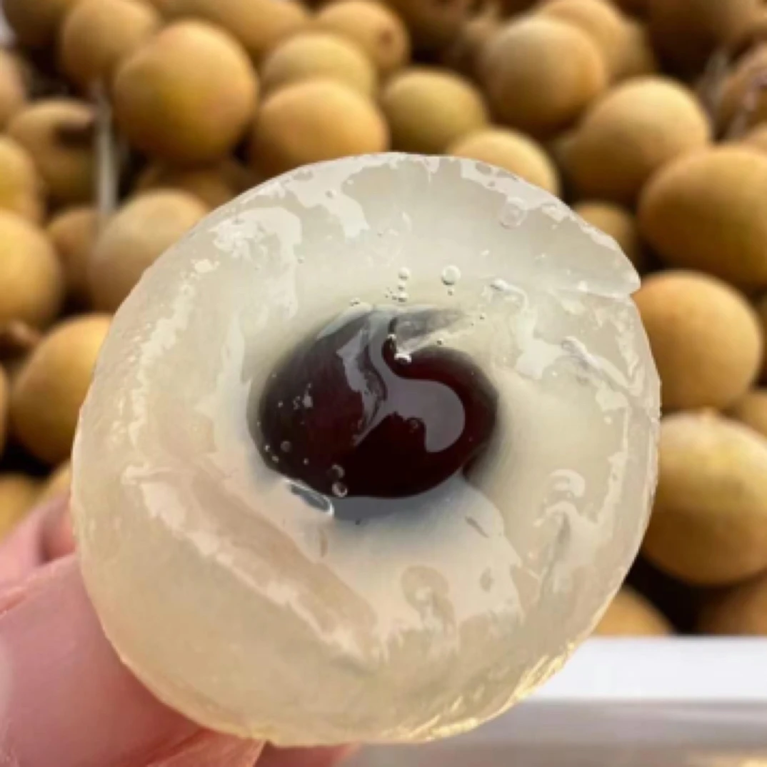 【香嘴屋】鲜龙眼1斤（500克）