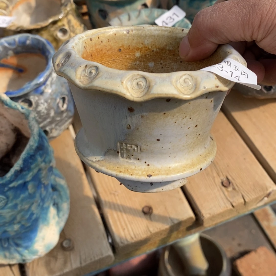 红陶花**季14号多肉盆瑕疵瑕疵