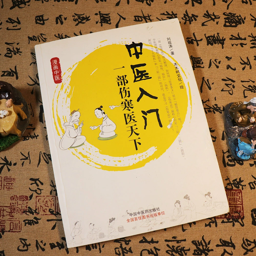 【天地合】中医入门 一部伤寒医天下